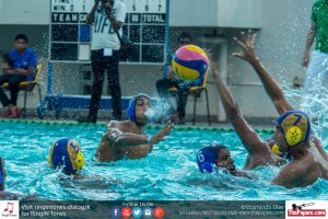 12095219_10154303151194251_7056328727337203436_o